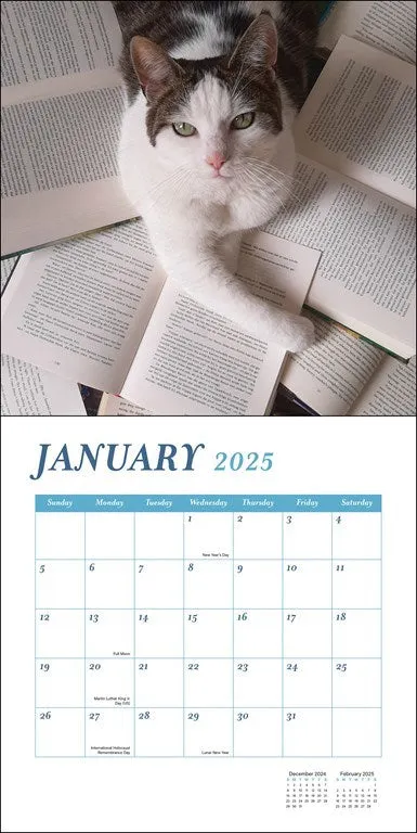 Cats & Books 2025 Wall Calendar
