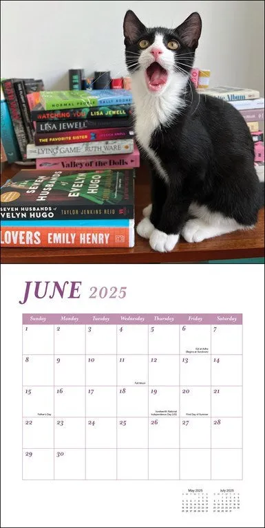 Cats & Books 2025 Wall Calendar