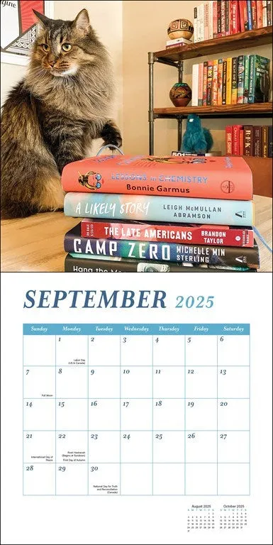 Cats & Books 2025 Wall Calendar