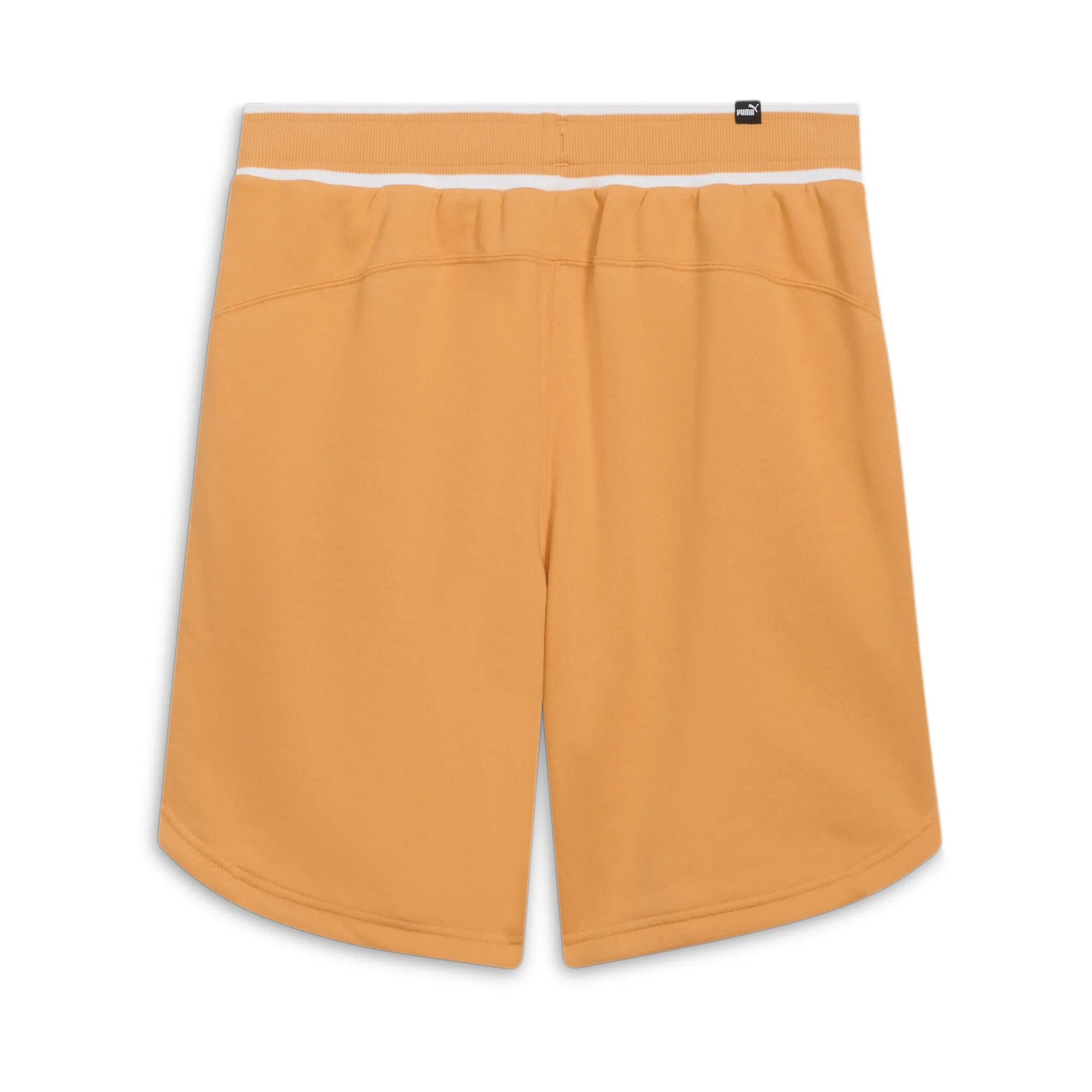PUMA Men's SQUAD Shorts