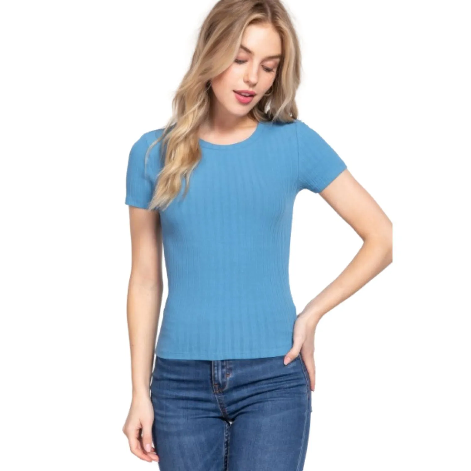 Short Slv Crew Neck Variegated Rib Knit Top
