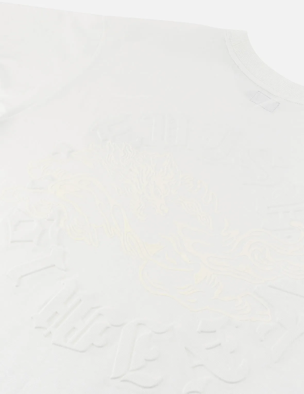 SPRING/ SUMMER COLLECTION 2025 Hakutaku Print and Seagull Emboss Print Loose Fit T-shirt