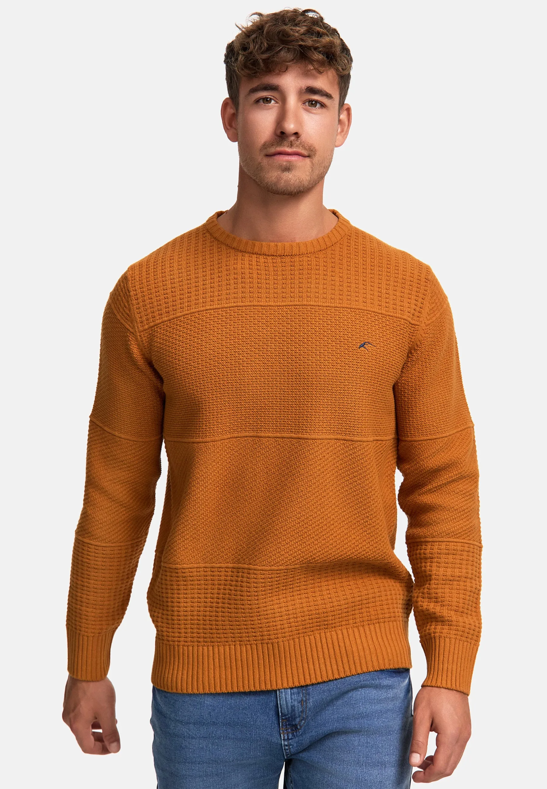 Strickpullover INJustice