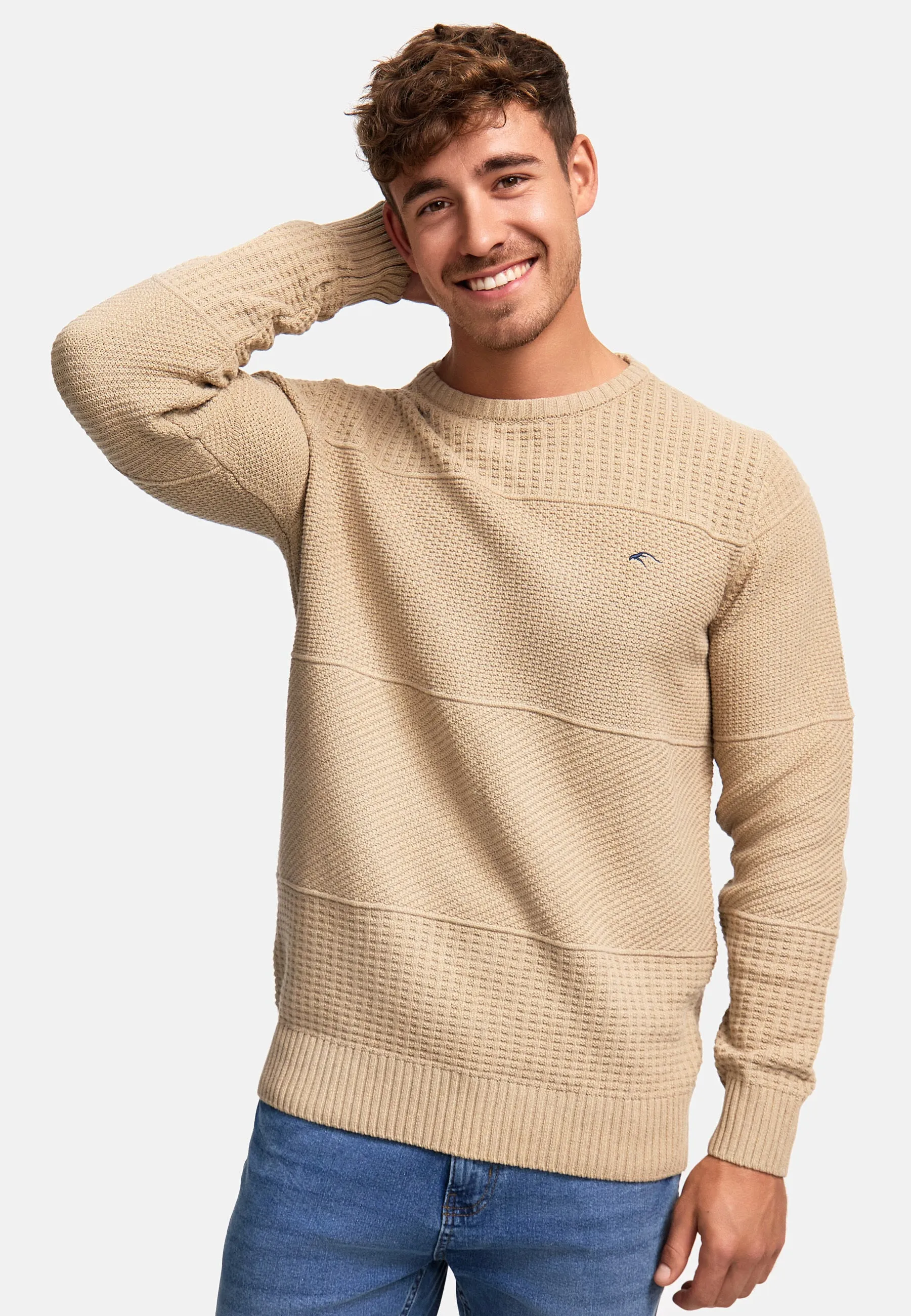 Strickpullover INJustice