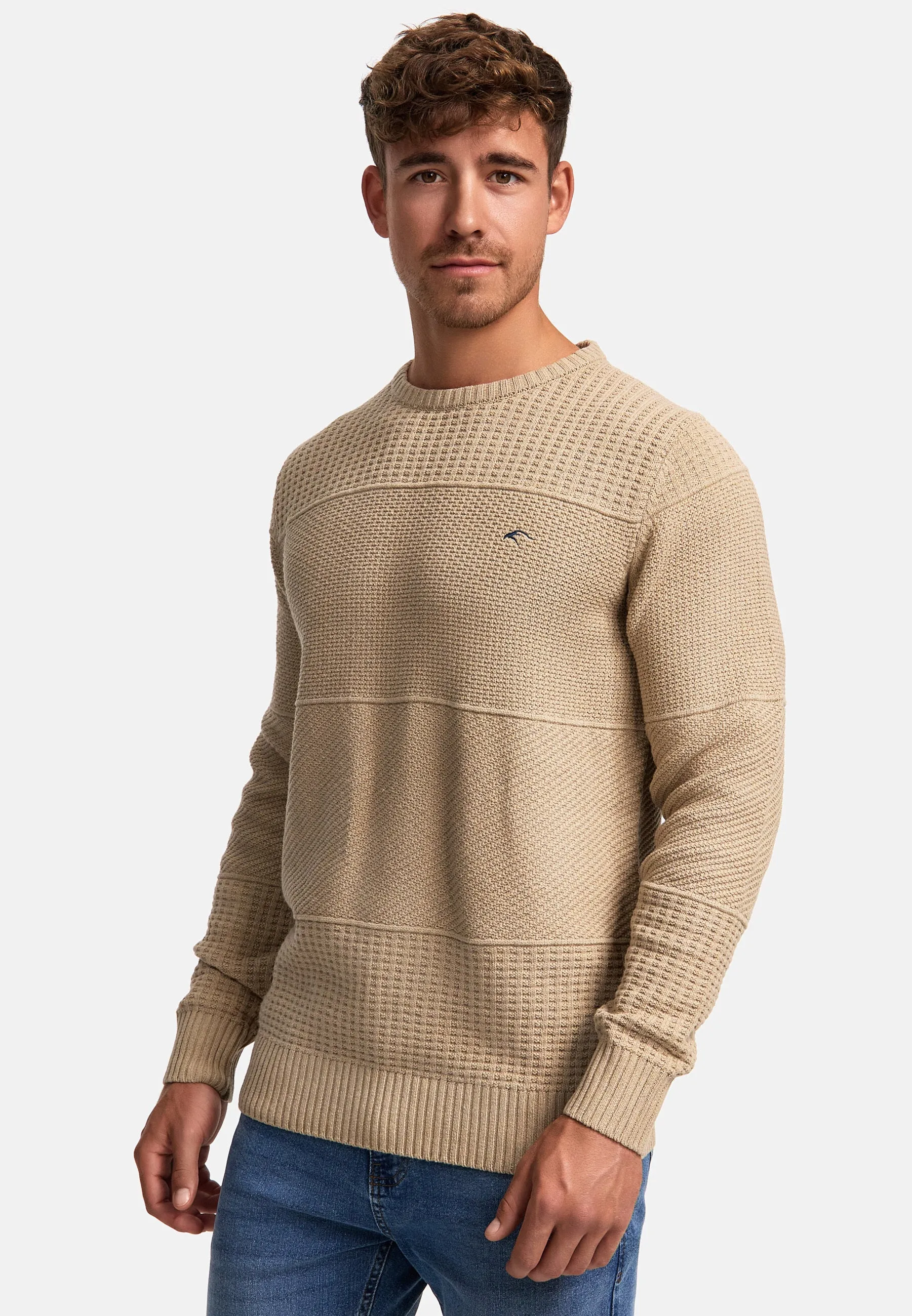 Strickpullover INJustice