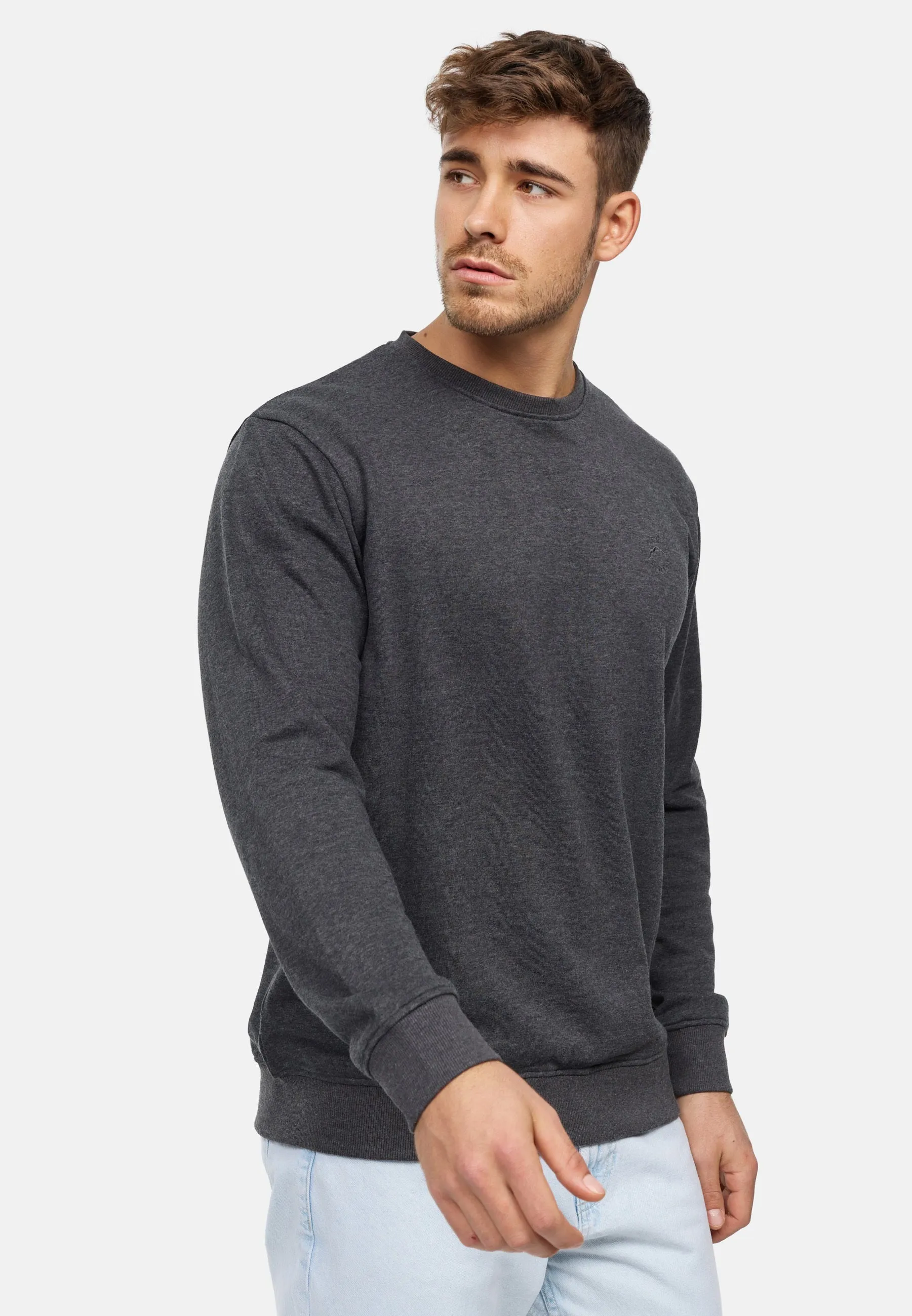 Sweatshirt Holt